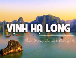 Hạ Long 1 ngày